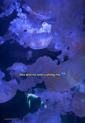 Exploring the Frost Museum Aquarium in Miami