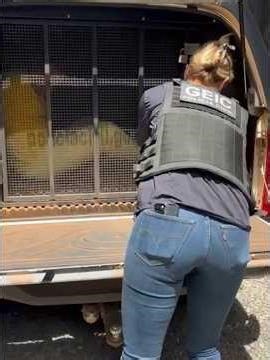 The man was handcuffed and arrested by a female police officer.