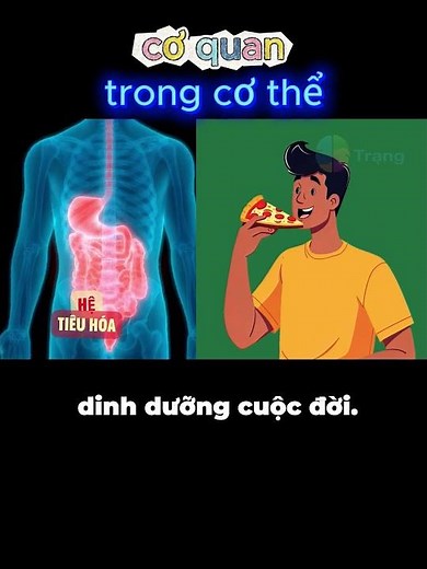 KHTN 9 | Organs in the Body