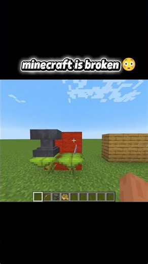 Minecraft Logic Is Broken 😳 | This Makes No Sense! #minecraft