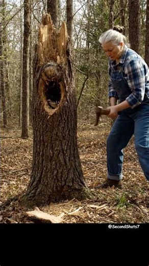 Terrifying Surprise Emerges From Tree Woman Tried To Cut