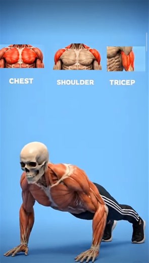 Push-Ups, Squats & Pull-Ups = Full Body Transformation 🔥⭐