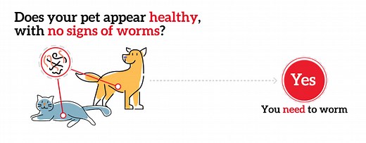 Beaphar WORMclear® - the affordable, easy to give worming treatment - Beaphar