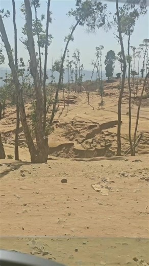 Seber zena getahewey hegerachinin selam adirgiln #ethiopian_tik_tok🇪🇹🇪🇹🇪🇹🇪🇹 #videoviral #foryoupage #fyp #viral #original #viral_video #bbcnews