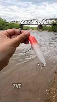 HOW TO USE THE SPOOK OR PENCIL POPPERS TOP WATER BAITS 🔥FOR STRIPER! “WALK THE DOG” 😛 #striper #va