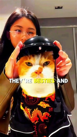 She Turned Into Her Cat… And They Even Made Their Own Language #pets #cat #cuteanimals #cute #funny