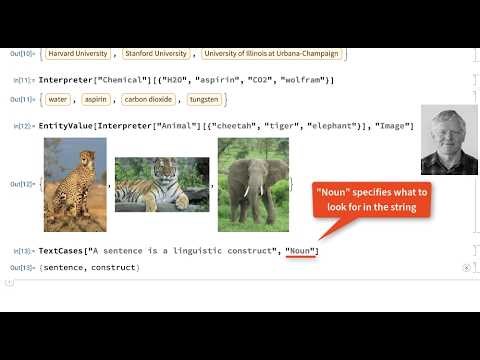 Wolfram Language Programming with Natural Language Input