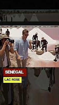 Senegal: Lake Retba