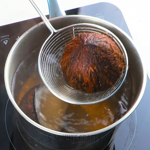 65K views · 341 reactions | The easiest way to remove coconut flesh from shell | 3-Minute Hacks | Facebook