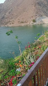 BEAUTIFUL UAE FUJAIRAH, SPECIAL SALAM GOMAL UNIVERSITY STUDENT | ALI Marwat