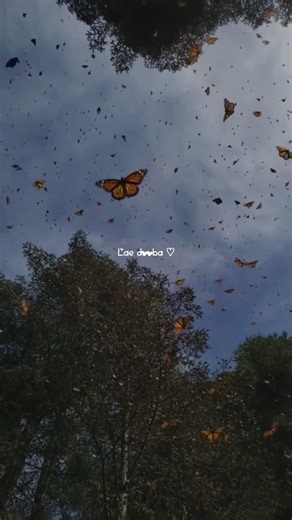 Lae dooba ♡ song lyrics aesthetic ||whatsapp status|| @smiley_artcreator