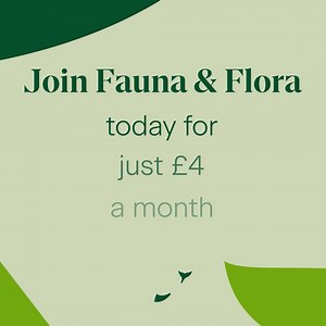 5.9K views · 114 reactions | Over one million species face...