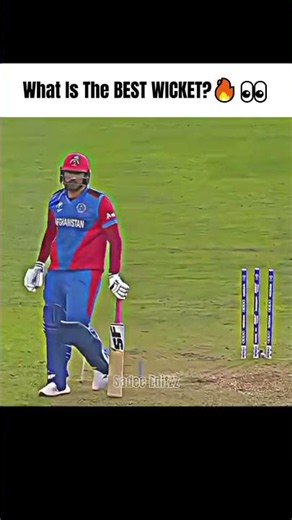 What is the Best Wicket in Cricket? 😱🔥 | #cricket #cricketlover #best