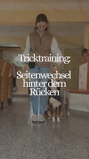 Tricktraining für Hunde: Seitenwechsel hinter dem Rücken