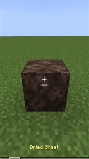 J’Horse | Follow For More Minecraft Tutorials…. #minecraft #gaming #minecraftmemes #funny #jhorse #skit #minecrafttutorial #minecrafttips | Instagram