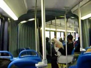 WMATA Neoplan AN460 articulated joint in a turn