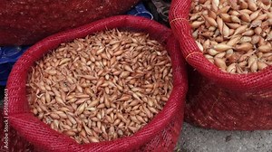 Unpackaged shallot onions sold in cloth bags, shallot seeds for planting in the garden,