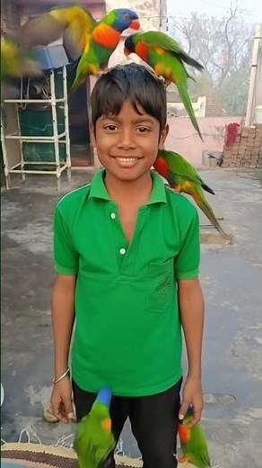 parrot tutorial 🦜🦜