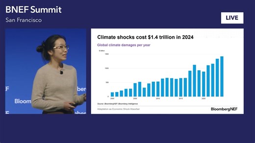 BNEF Talk: Climate Adaptation as an Economic Shock Absorber