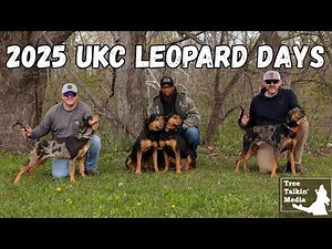 2025 UKC Leopard Days