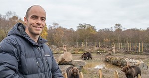 Brown bear back living in Ireland for first time in thousands of years