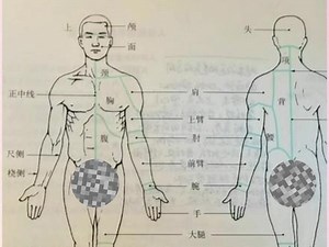 第一讲 人体解剖姿势和方位术语#人体解剖学 #健康科普 #运动解剖知识分享 因为图有点问题不能观看，重新分享下。