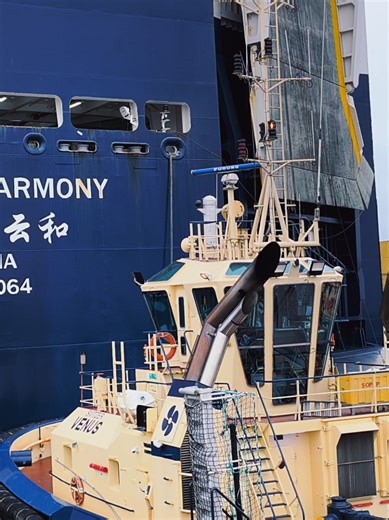 Anji Harmony: A Giant Car Carrier in Action