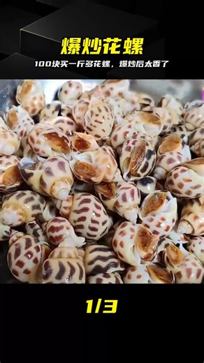 花螺100一斤？爆炒后這味道香得離大譜 #花螺，爆炒花螺，麻辣，夜宵，鲜嫩，人间美味