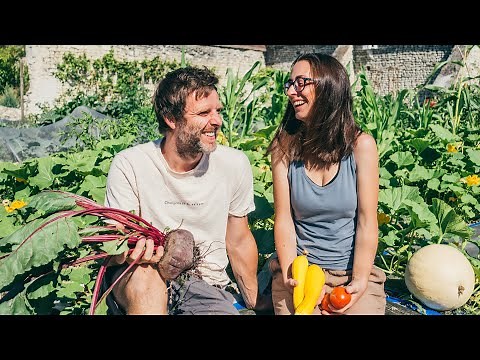 Our simple life on a French homestead - slow living in July