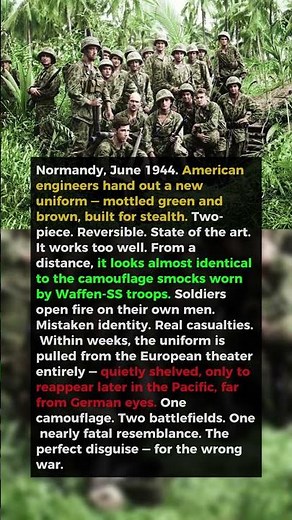 The US Army Camo So Good, It Got American Soldiers Killed |WW2