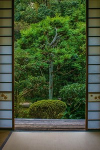 芬陀院（東福寺塔頭） | 鏡花水月