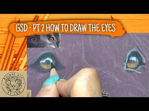 How to Draw Dogs Eyes in Colored Pencil -Tutorial