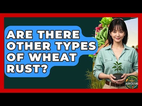 Are There Other Types Of Wheat Rust? - The World of Agriculture