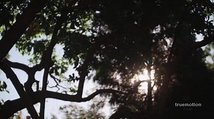 6.9K views · 163 reactions | On September 27, 2014, Tau Kappa Epsilon's Alpha-Tau Chapter celebrated 75 years of fraternal excellence on the Drexel campus. | Tau Kappa Epsilon Fraternity | Facebook