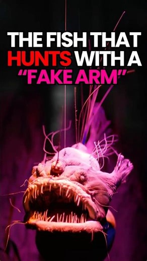 The Fish That Uses a Fake Arm as a Weapon