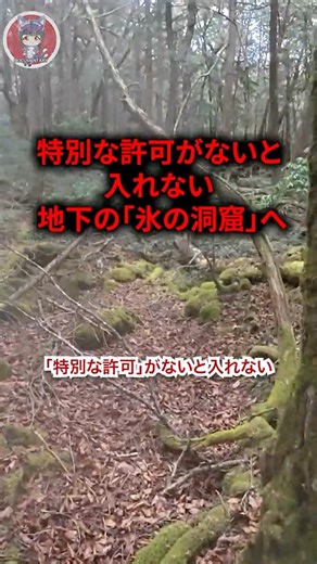 [No Trespassing] Deep underground in the Aokigahara Jukai forest... Enter the forbidden "ice laby...