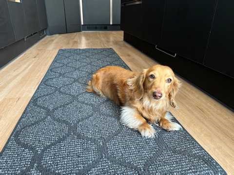 Is This the BEST Kitchen Mat? COSY HOMEER Runner Review (Dark Grey and Non Slip)