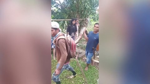 Grandmother, 74, squeezed to death by huge 13ft python in Indonesia