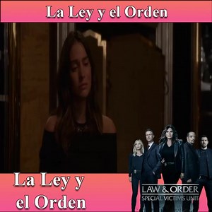 La Ley y el Orden- Unidad de víctimas especiales Temporada 19 Capitulo 23 Completo | La Ley y el Orden - UDVE