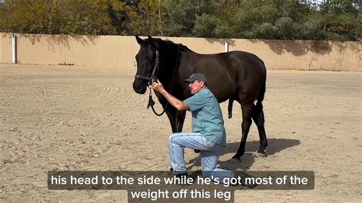 15K views · 246 reactions | Why Wednesday – In recent trainings, my...