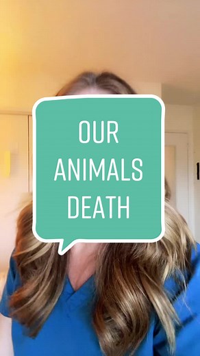 Caring for Pets in a Hospice Setting