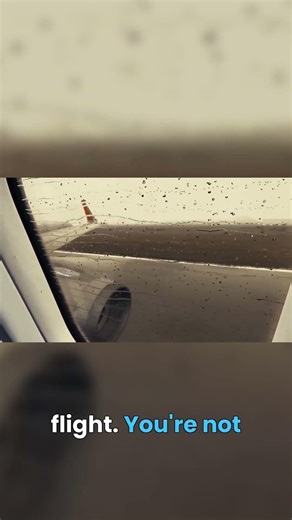 Flight Sim feels ALIVE! Ultimate Immersion Unlocked