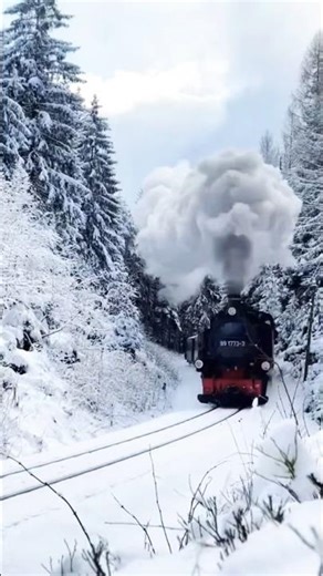 Rise No Matter What #shorts #motivation #dailyinspiration #dailymotivation