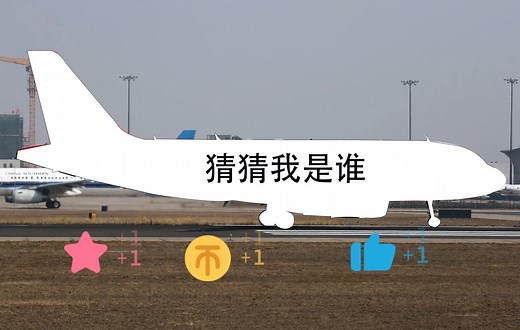 你认识空客A318的哥哥吗？【4K超高清】