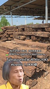 #ไม้หมอนรถไฟ ปลีกท่อนละ 1,000฿ / เหมา 50ท่อนขึ้นไป ท่อนละ 850฿ สนใจโทร 0611699000 ⛳️พิกัดร้าน อยุธยา ลาดบัวหลวง | จำหน่ายไม้เก่า เสาเก่า และผลิตประตูและวงกบด้วยไม้เก่า