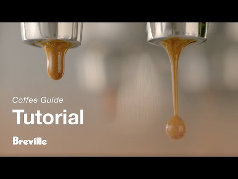 The Bambino® | A complete extraction guide for a perfectly balanced espresso | Breville USA