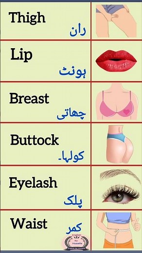 English to Urdu Parts of Body Names with Pictures: #english #englishtourdu #partsofbody