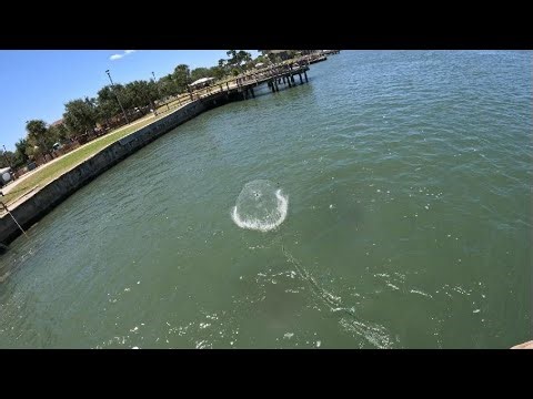 Tips on how to throw a cast net like a pancake every time.