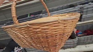 They were rolling out new bins so fast today! I didn't want to leave 😢 | Julie's Designs & Signs