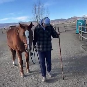 1.3K views · 144 reactions | Today is two days post hip replacement for our amazing co founder @sirilindley watch  as Savvy walks slowly and gently knowing Siri needs to take care❤️‍啕 Big thanks go to Siri’s amazing surgeon Dr Koonce @uchealth . He is extraordinary! ❤️⭐️ | Siri Lindley | Facebook